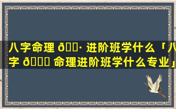 八字命理 🌷 进阶班学什么「八字 🐋 命理进阶班学什么专业」